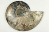 Cut & Polished Ammonite Fossil - Deep Crystal Pockets #200149-5